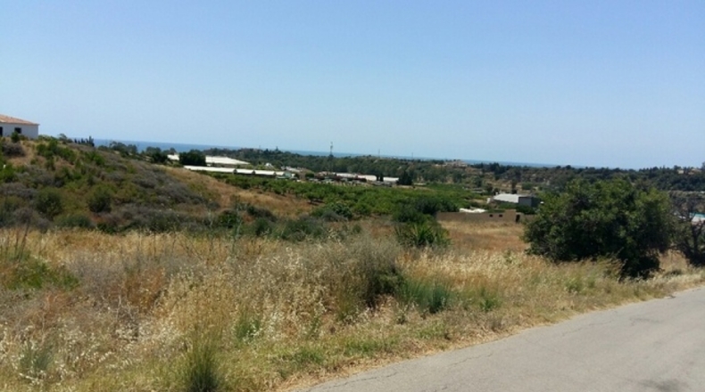 Malaga - Estepona - 43100m2