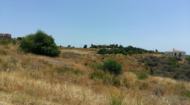 Malaga - Estepona - 43100m2