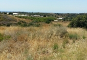 Terreny no urbanitzable en venda a Estepona ref.: TR232345 foto