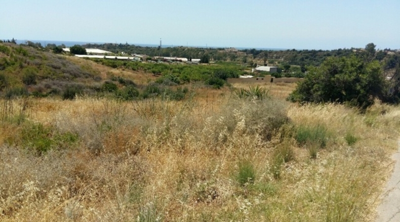 Malaga - Estepona - 43100m2