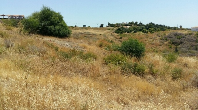 Malaga - Estepona - 43100m2