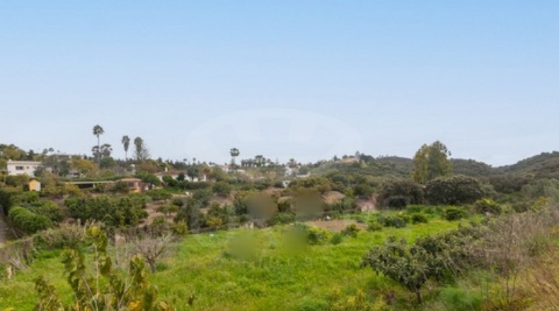 Málaga - Estepona - 4400m2