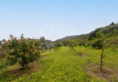 Casa amb terreny en venda a Estepona ref.: TR305196 foto