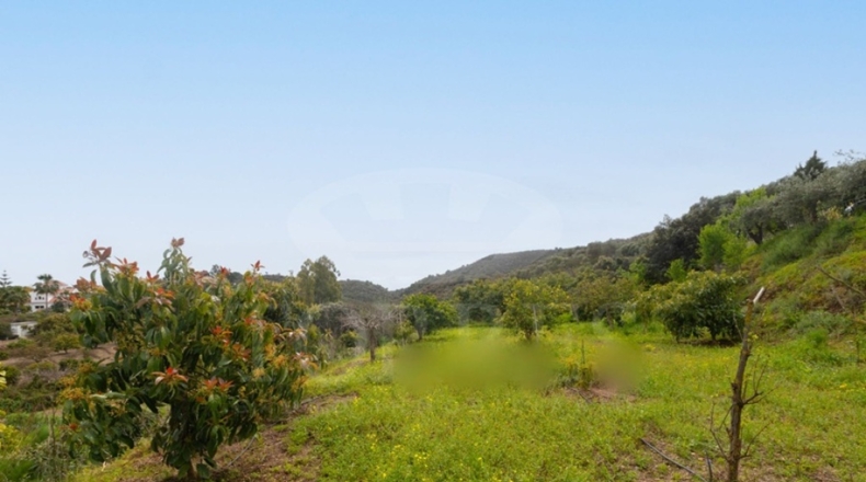 Málaga - Estepona - 4400m2