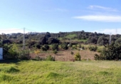 Casa de camp amb terreny en venda a Estepona ref.: TR232312 foto
