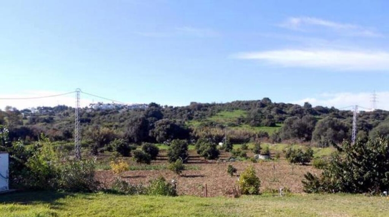 Málaga - Estepona - 20000m2