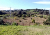 Casa de camp amb terreny en venda a Estepona ref.: TR232312 foto