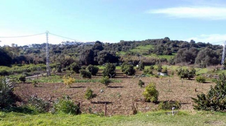 Málaga - Estepona - 20000m2
