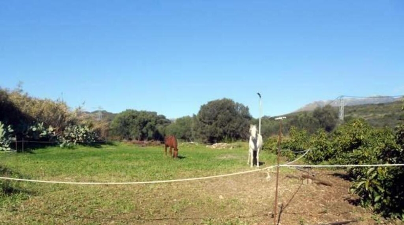 Málaga - Estepona - 20000m2