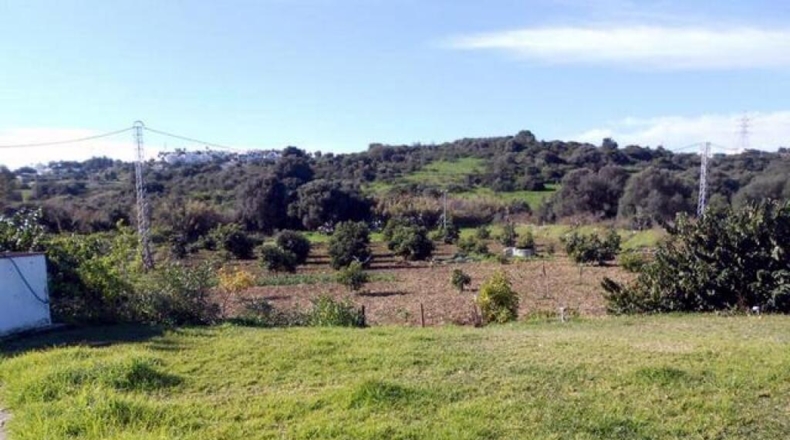 Málaga - Estepona - 20000m2