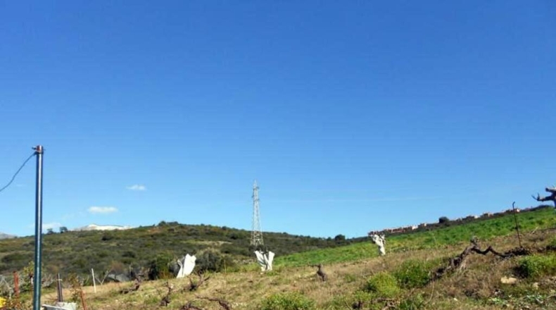 Málaga - Estepona - 20000m2