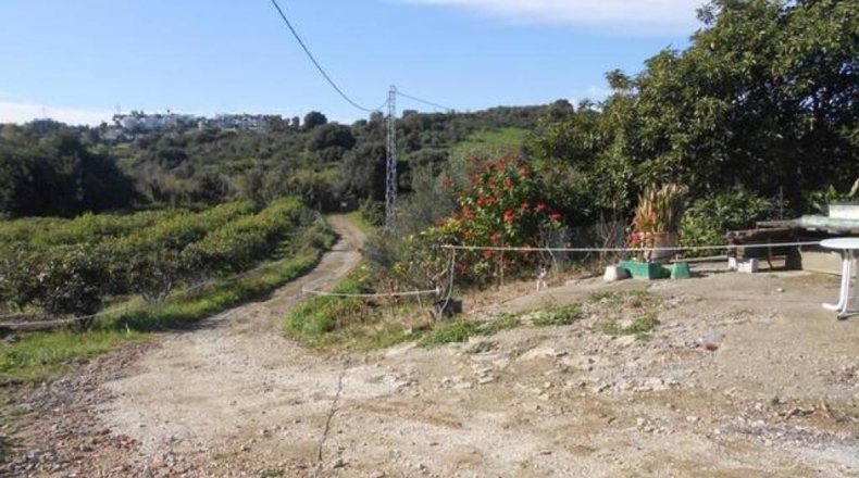 Málaga - Estepona - 20000m2