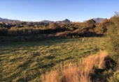Parcel·la urbanitzable en venda a Estepona ref.: TR232306 foto