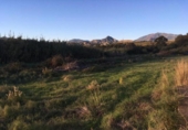 Parcel·la urbanitzable en venda a Estepona ref.: TR232306 foto