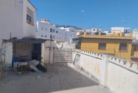 Foto 19