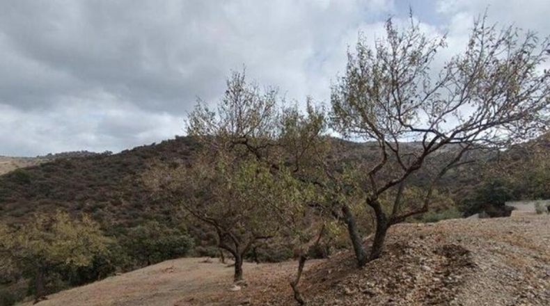 Málaga - Casabermeja - 8777m2