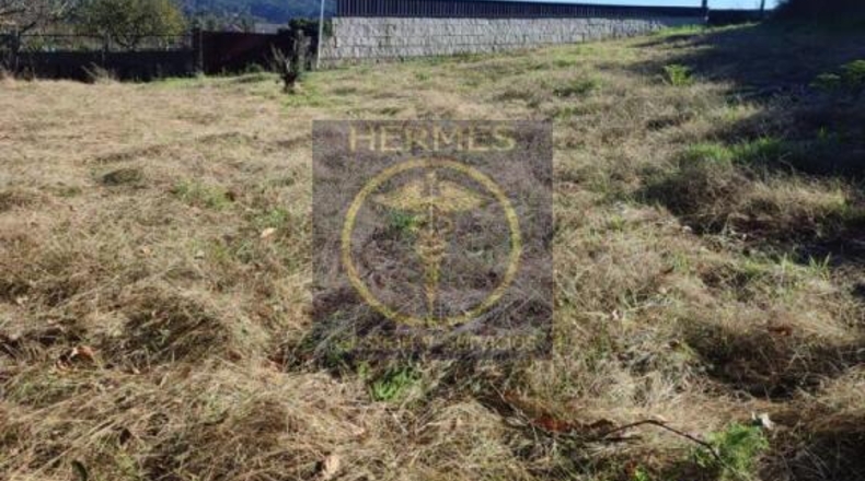 Pontevedra - Recarei - 1500m2