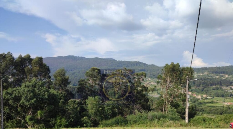 Pontevedra - Recarei - 1040m2