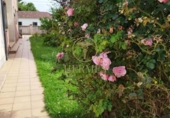 Semi-detached house with land for sale in Tomiño ref: TR256620 photo