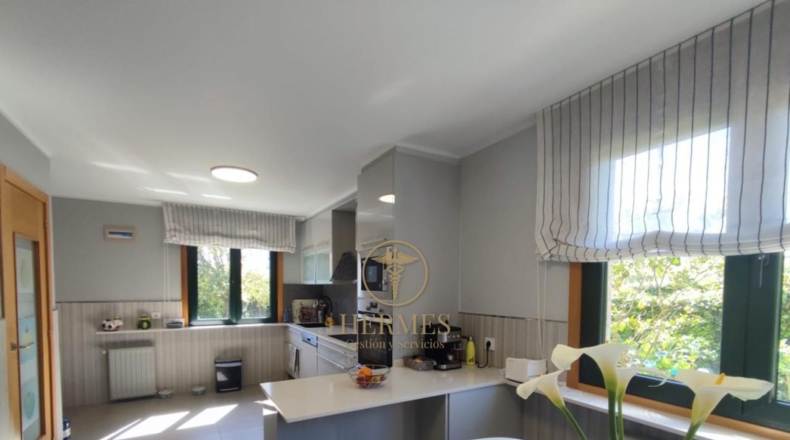 Pontevedra - Nigrán - 800m2