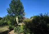 Casa de pueblo en venta en Mondariz ref: TR256618 foto