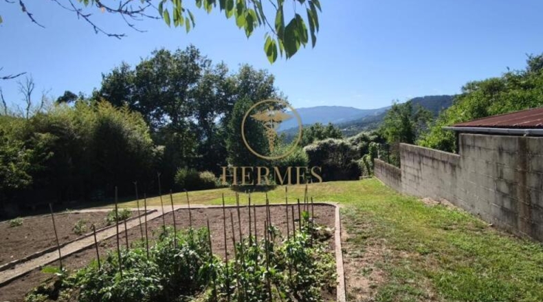 Pontevedra - Mondariz - 1800m2