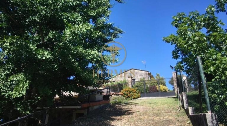 Pontevedra - Mondariz - 1800m2