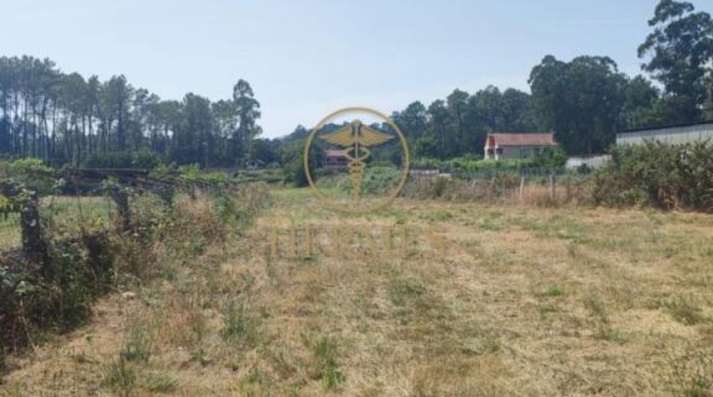 Pontevedra - Os Agros - 1156m2