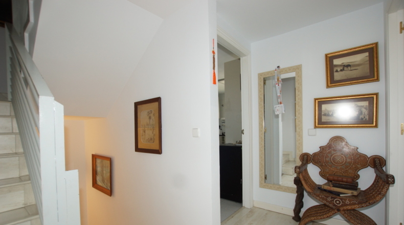 Málaga - Málaga - 200m2