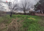 Casa amb terreny en venda a Lleida ref.: TR233822 foto