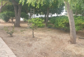 Foto 11