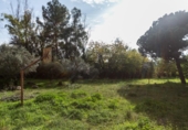 Chalet independiente con terreno en venta en Cerdanyola del Vallès ref: TR234687 foto