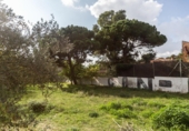 Chalet independiente con terreno en venta en Cerdanyola del Vallès ref: TR234687 foto