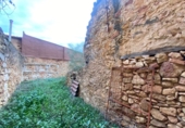 Xalet independent amb terreny en venda a Freginals ref.: TR234680 foto