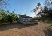 Masia with land for sale in Ulldecona ref: TR234511 photo