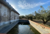 Masia with land for sale in Ulldecona ref: TR234511 photo