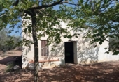 Masia with land for sale in Ulldecona ref: TR234511 photo