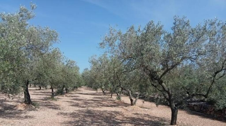 Tarragona - Ulldecona - 39m2