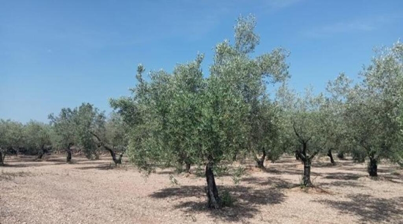Tarragona - Ulldecona - 39m2