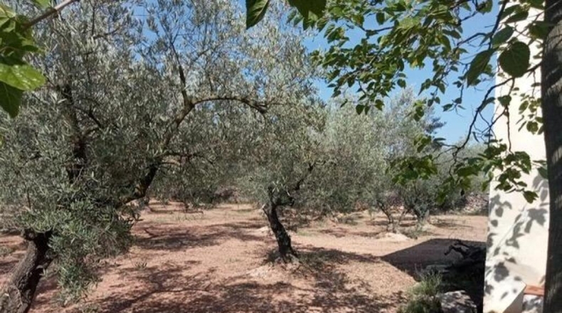Tarragona - Ulldecona - 39m2