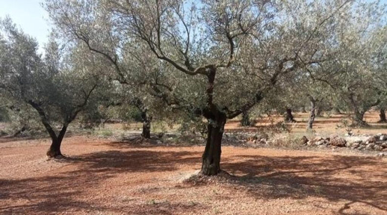 Tarragona - Ulldecona - 39m2