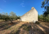 Masia with land for sale in Ulldecona ref: TR234511 photo