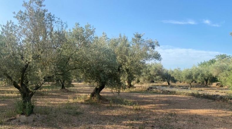 Tarragona - Ulldecona - 39m2