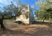 Masia with land for sale in Ulldecona ref: TR234511 photo
