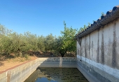 Masia with land for sale in Ulldecona ref: TR234511 photo