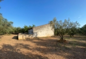 Masia with land for sale in Ulldecona ref: TR234511 photo