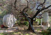 Masía con terreno en venta en Masdenverge ref: TR234000 foto