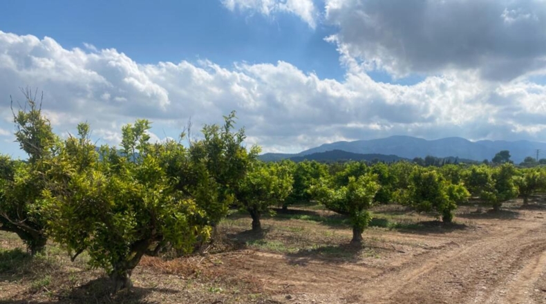 Tarragona - ла Галера - 2977m2