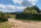 Masía con terreno en venta en Masdenverge ref: TR234000 foto
