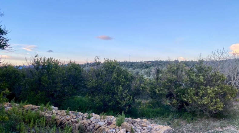 Tarragona - Masdenverge - 50m2